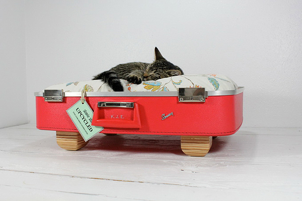 червен куфар превърнат в легло за котка